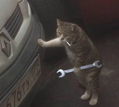 Picture of a cat holding a wrench and smoking a ciggy